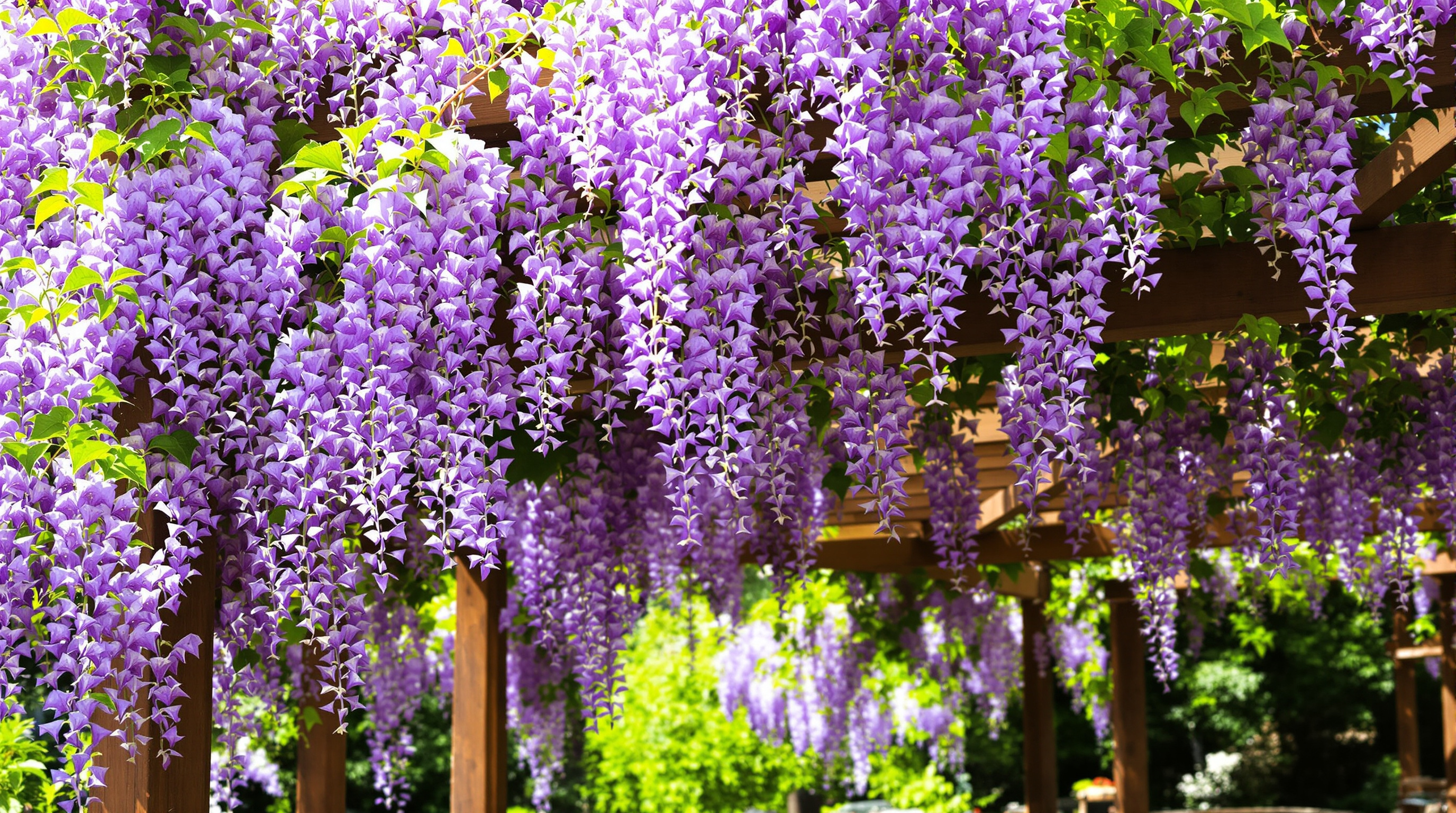 Aménager un jardin sec à Rochefort